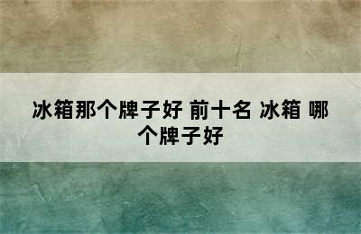 冰箱那个牌子好 前十名 冰箱 哪个牌子好